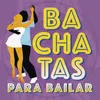 Entra en Mi Vida (Versión Bachata)