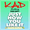 About Just How You Like It (DAIRE Remix) Song