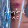 About Disneyland Song