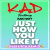 About Just How You Like It (Disrupta Remix) Song