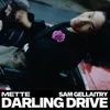 About DARLING DRIVE Song