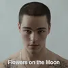 About Flowers on the Moon Song