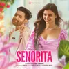 About Senorita Song