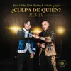 About ¿Culpa de Quién? (Remix) Song