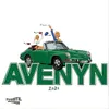 About Avenyn 2024 (Hjemmesnekk) Song