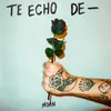 About Te echo de - Song