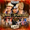 About Vida Truncada (En Vivo) Song