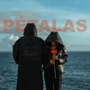 About Pétalas Song