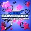 About Need Somebody Song