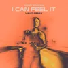 About I Can Feel It (VAVO Remix) Song
