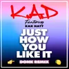 About Just How You Like It (Donk Remix) Song