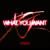 About WHAT YOU WANT Song