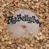 About BIG BELLY BOY Song