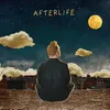 About Afterlife Song