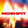 About MOSHPIT Song