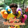 About Baby Woodpecker Song