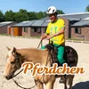 About Pferdchen Song