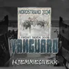 About Vanguard 2024 (Hjemmesnekk) Song