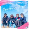 About Forever Blue Song