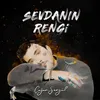 About Sevdanın Rengi Song