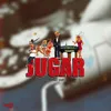 About Jugar 2025 Song