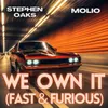 About WE OWN IT (FAST & FURIOUS) Song