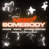 Need Somebody (Parsa Nani & MDDLTN Remix)