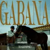 About Gabana Song