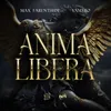 About ANIMA LIBERA Song