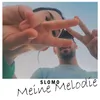 Meine Melodie