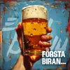 About FÖRSTA BIRAN Song