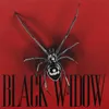 About BLACK WIDOW Song