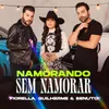 About Namorando Sem Namorar Song