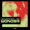 About WONDER Song
