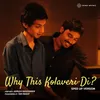 About Why This Kolaveri Di? (Sped-Up Version) Song