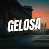 About GELOSA Song