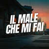 About IL MALE CHE MI FAI Song