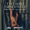 About Love Will Survive (from The Tattooist of Auschwitz) Song