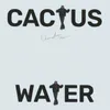 Cactus Water