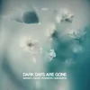 About Dark Days Are Gone (Extended Mix) Song