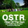 About Rise of the Sun Song