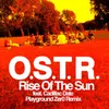 Rise of the Sun - Remix