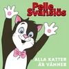 About Alla katter är vänner Song