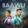 About Baawli Song