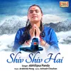 About Shiv Shiv Hai Song