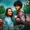 About Parindey Song