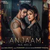 About Anjaam Na Mila Song