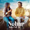 About Nehar Wale Pull Te Song