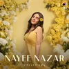 About Nayee Nazar Song