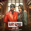 About Kale Kagaz Lofi Mix Song